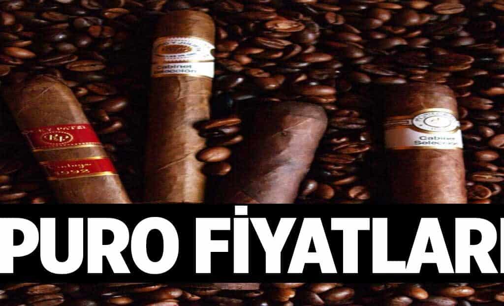 Puro Fiyatlari 1024x622dzq.jpg