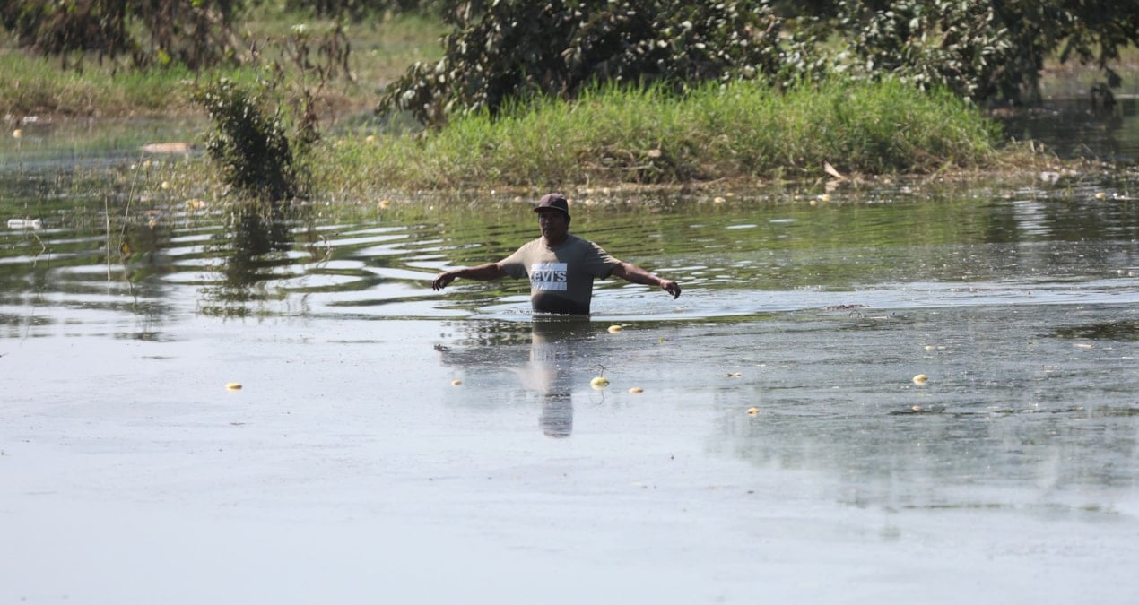 meksikadaki su baskinlari sehirleri yikti gecti 72 kisi oldu gGga62gr.jpg