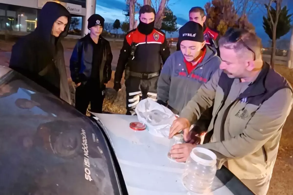 Aksaray’da Yasak Akrep Satışına Operasyon