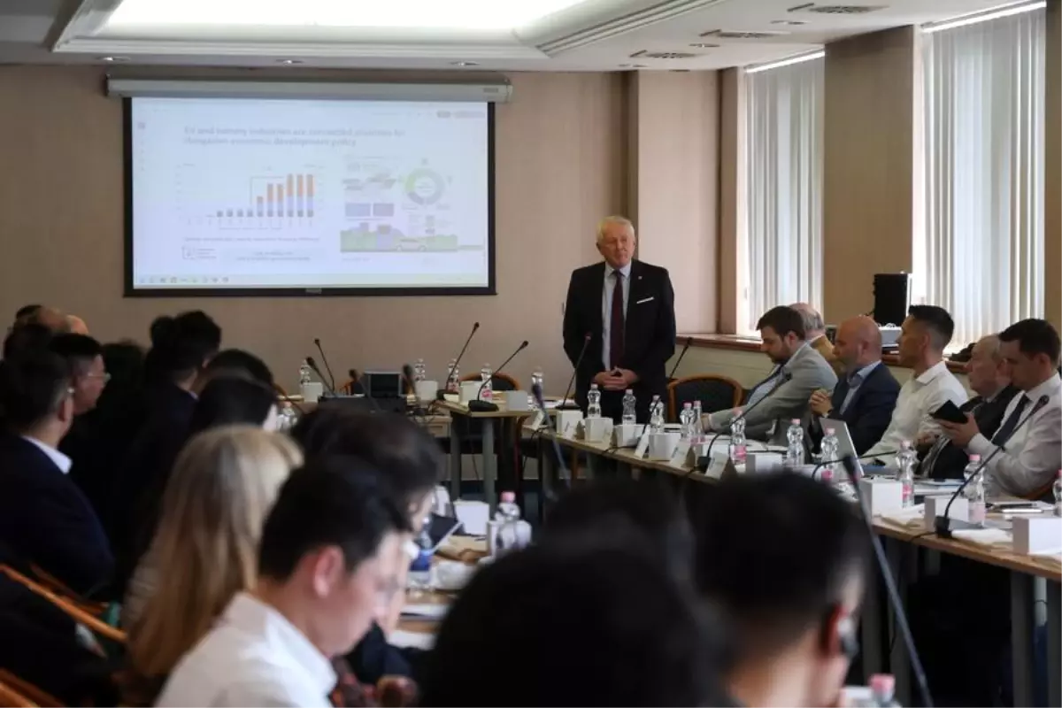 macaristan ile cin batarya geri donusumunde isbirligi yapiyor dsulupCG.jpg