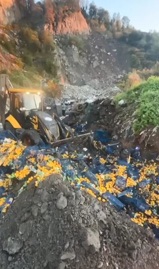 Sarp Sınır Kapısı’nda 6 ton mandalina imha edildi: Zirai ilaç kalıntısı tespit edildi