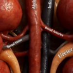 atlas-featured-8404-1775581533-FnGBSN