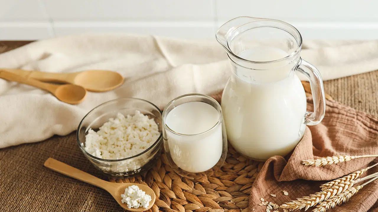Son donemin yukselen saglik trendi kefir gercekten iddia edildigi kadar faydali mi qiJVni3w
